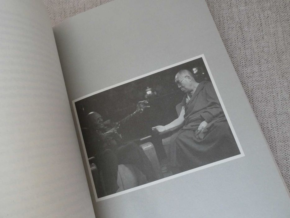 Livro O Livro da Alegria- Alcançar a felicidade num mundo em mudança