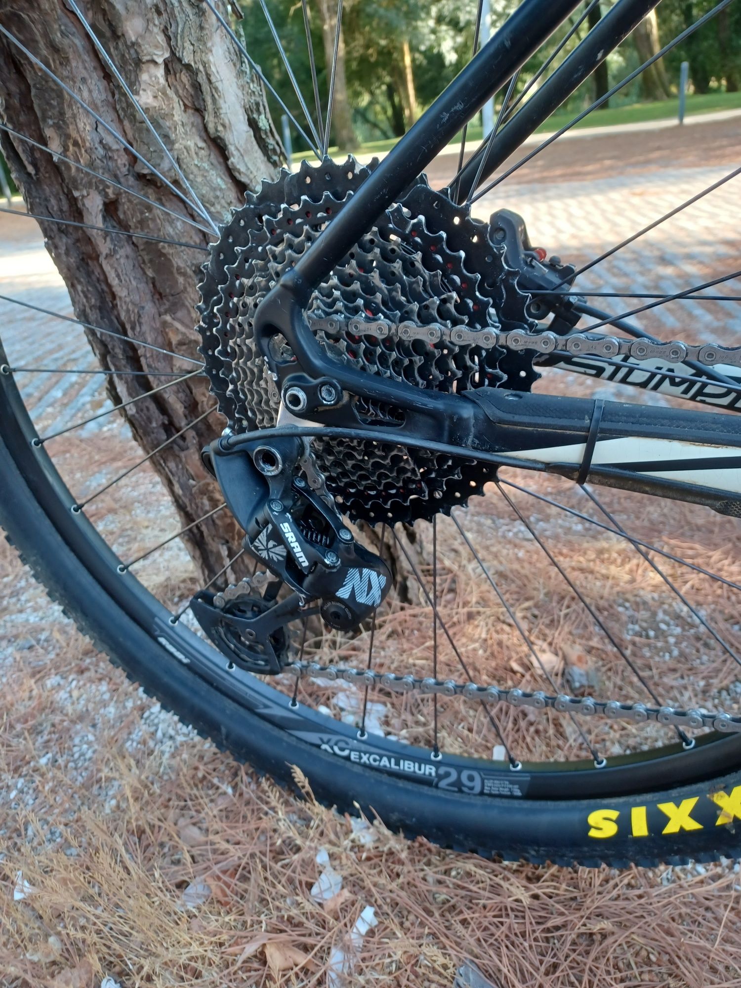 Specialized stumpjumper 29er   12V