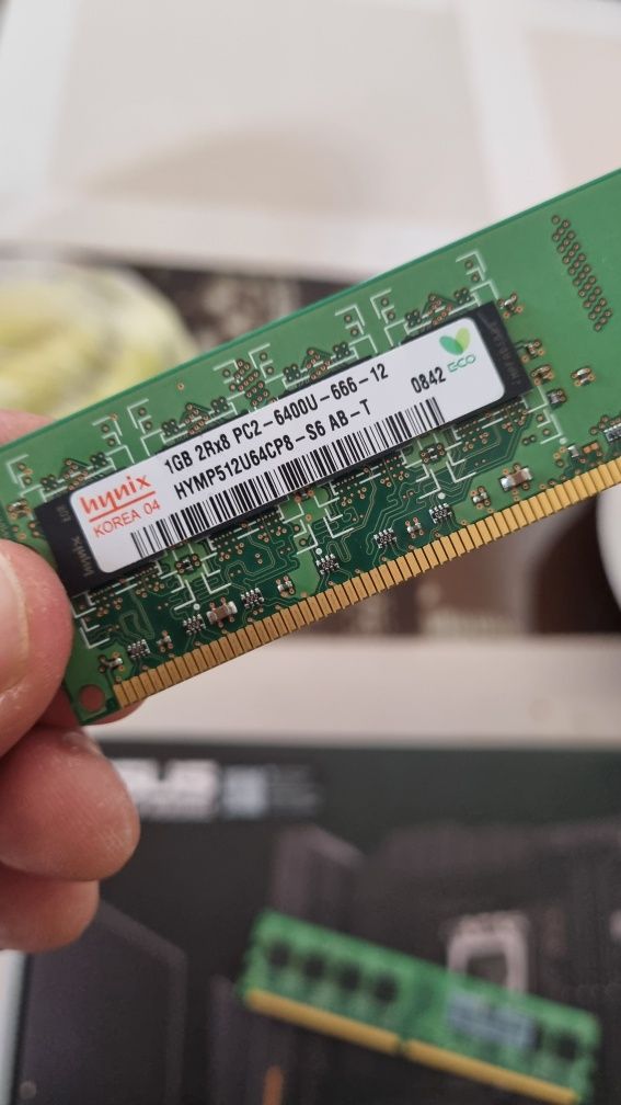 HP  1 GB PC2 800 MHz DDR2 Memória DIMM