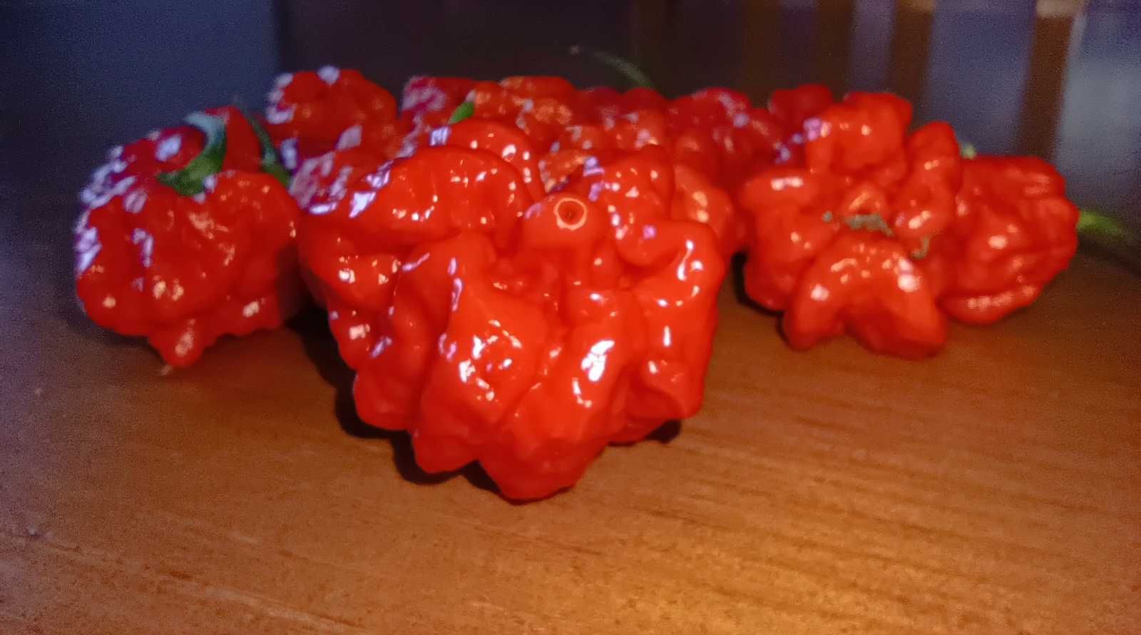 Carolina Reaper- Fruto Fresco; Semente