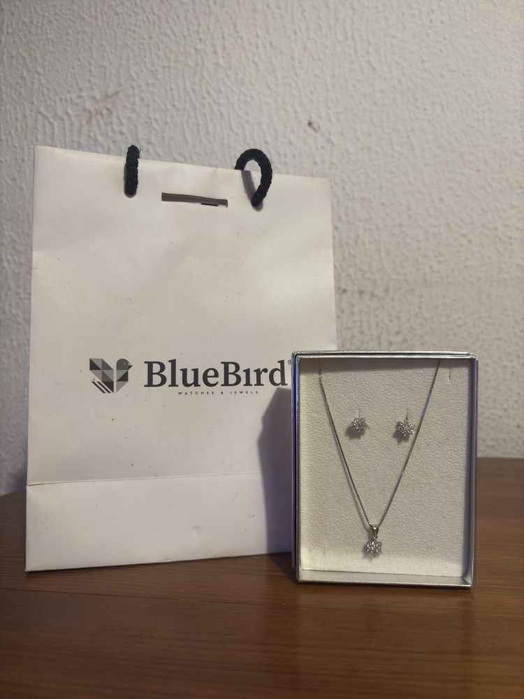 Conjunto Blue Bird