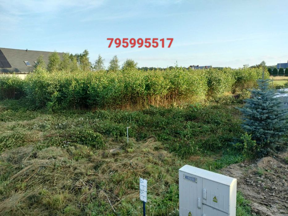 mulczer leśny  mulczowanie czyszczenie dzialek karczowanie