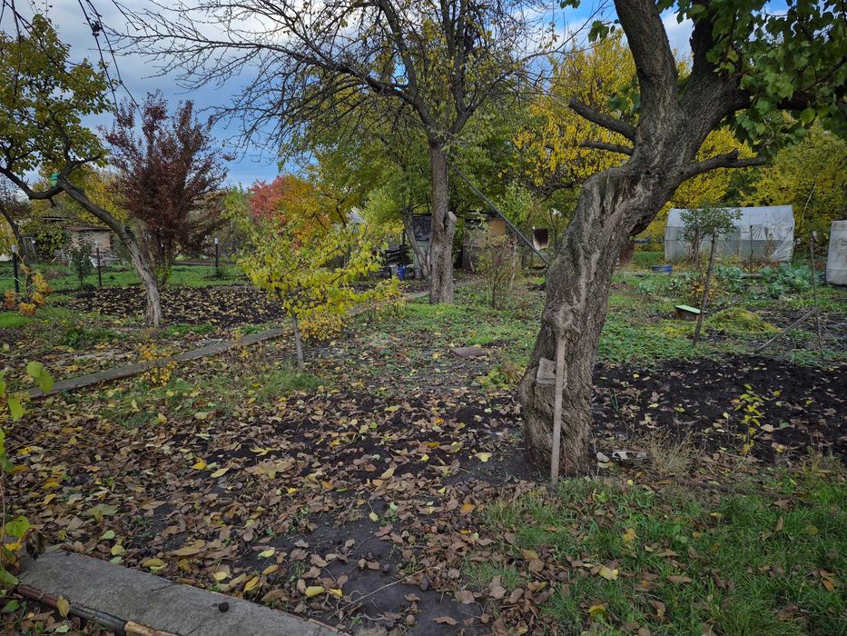 Продам дачу Баглейские сады