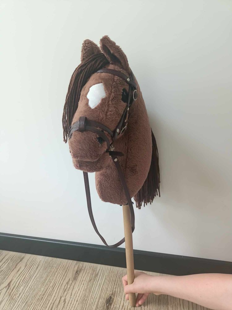 Hobby horse (hobby horsing)