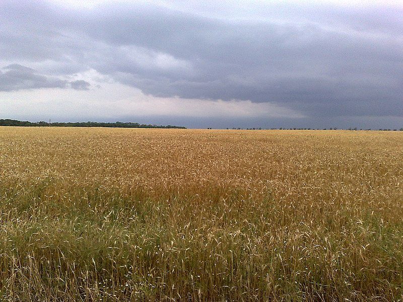 Обміняю землю пай