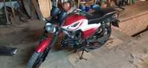 Forte Alpha FT-125 K9A 2020