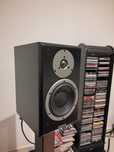 Dynaudio emit m20
