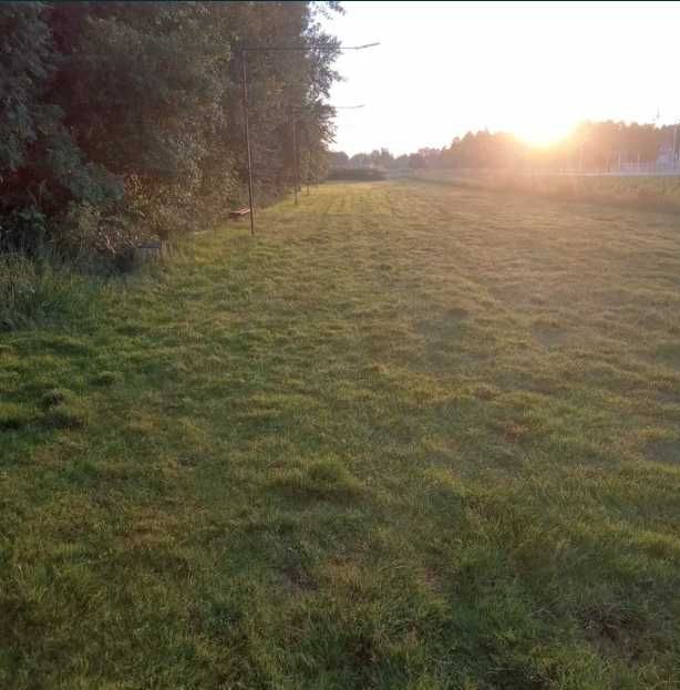Pole Namiotowe pod Laskiem