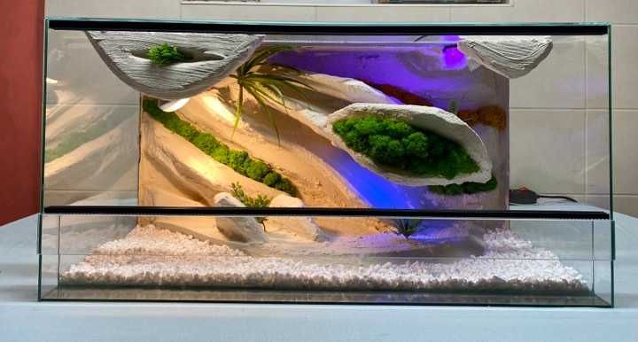 Nowe Terrarium 80x40x40 Gekon Lamparci, Jaszczurka