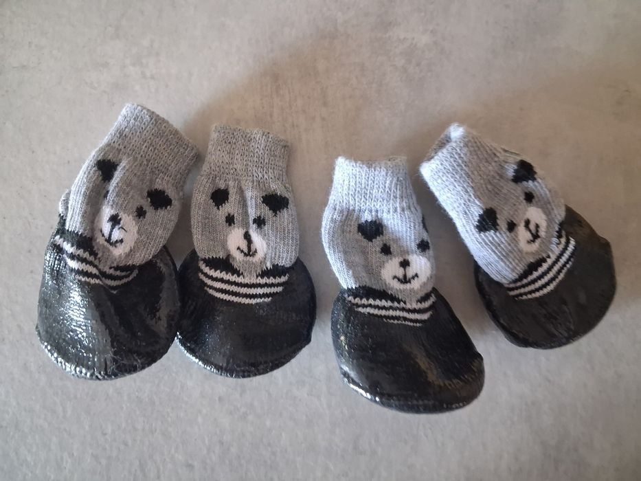 Buty dla psa shih tzu,york