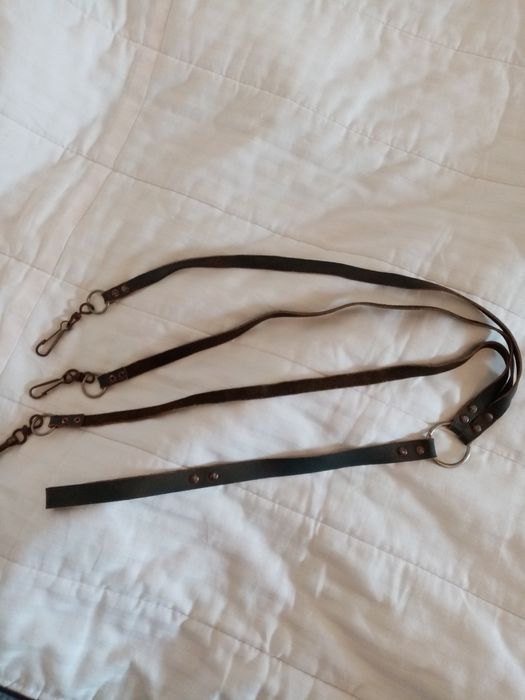 Antiga trela três cães