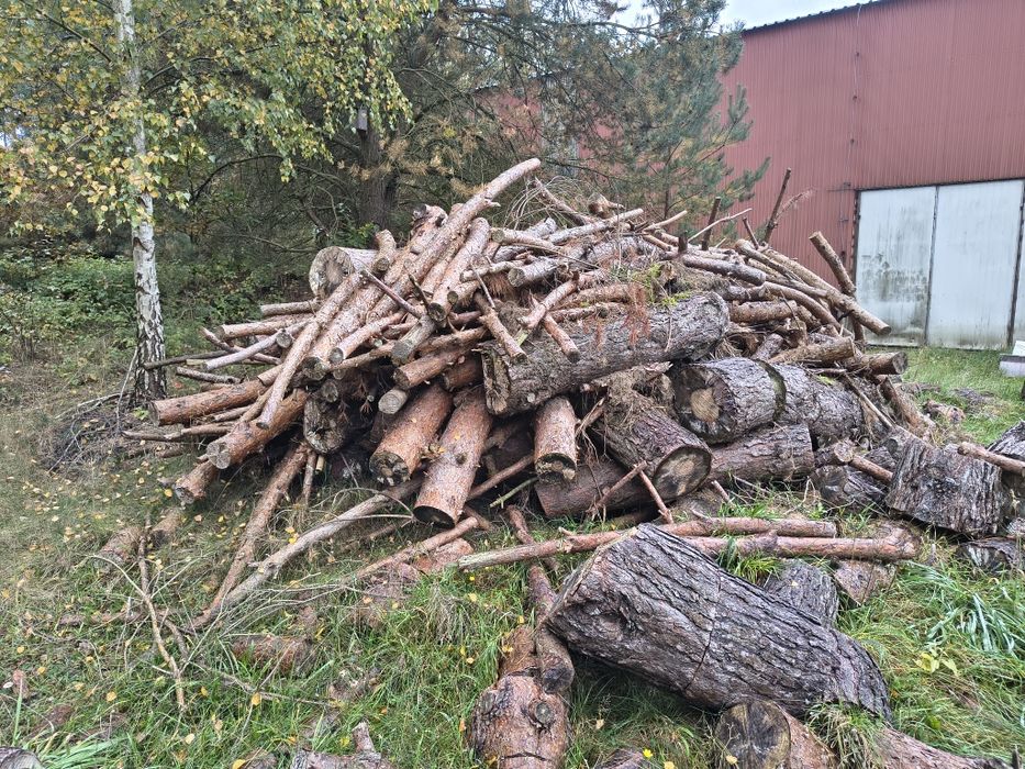 Drewno opałowe sosna