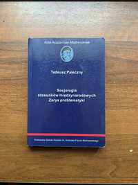 Socjologia stosunków międzynarodowych. Zarys problematyki