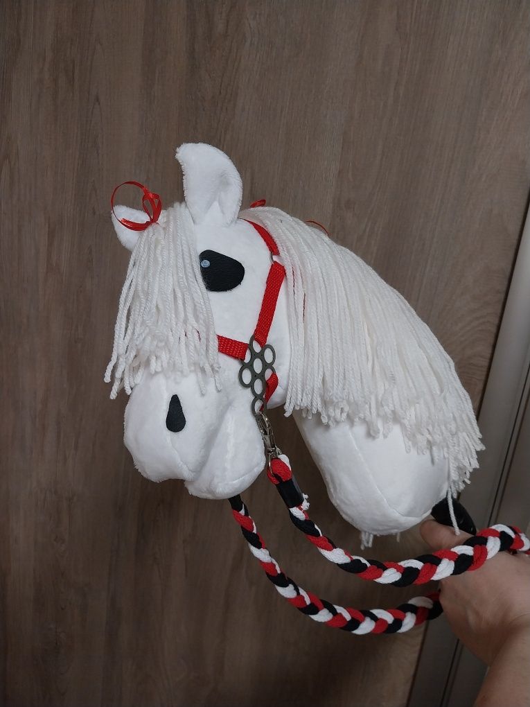 Konik hobby horse