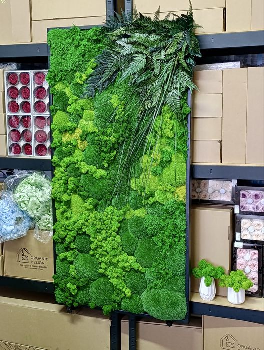 Картина с Мхом. Стабілізований Мох Картина