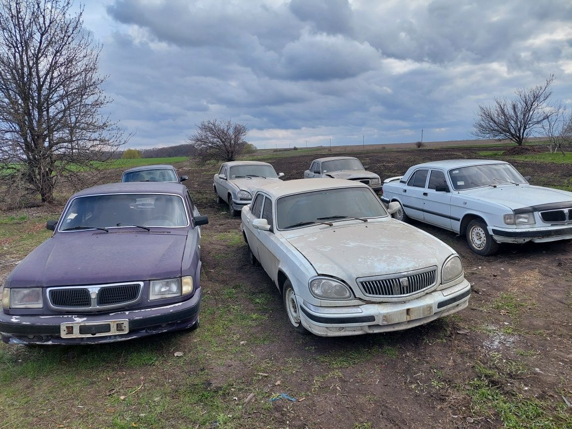 Разборка Газ Волга 31105.3110.31029.24