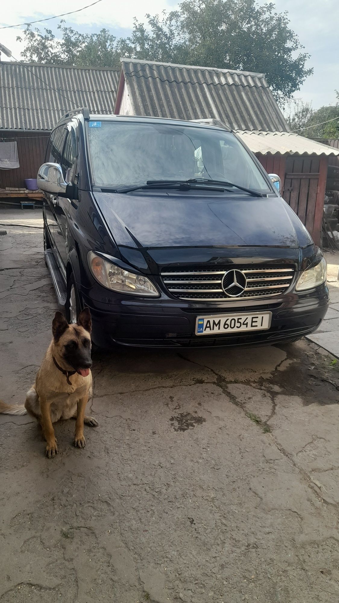 Віто 639 115 CDI