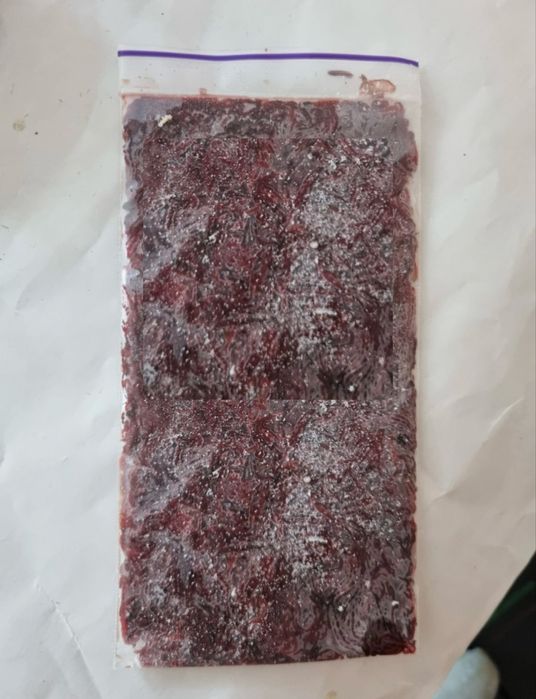 Фасованный мотыль (сухой заморозки)