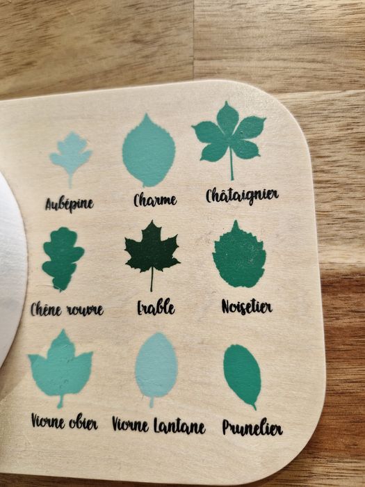 Árvore da Chuva Educativa Nature & Découvertes - Em Bom Estado