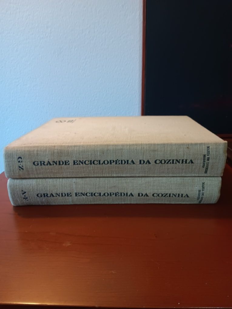 Grande Enciclopédia da Cozinha dois volumes