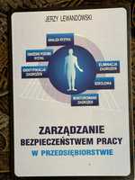 Zarządzanie bezpieczeństwem pracy w przedsiębiorstwie