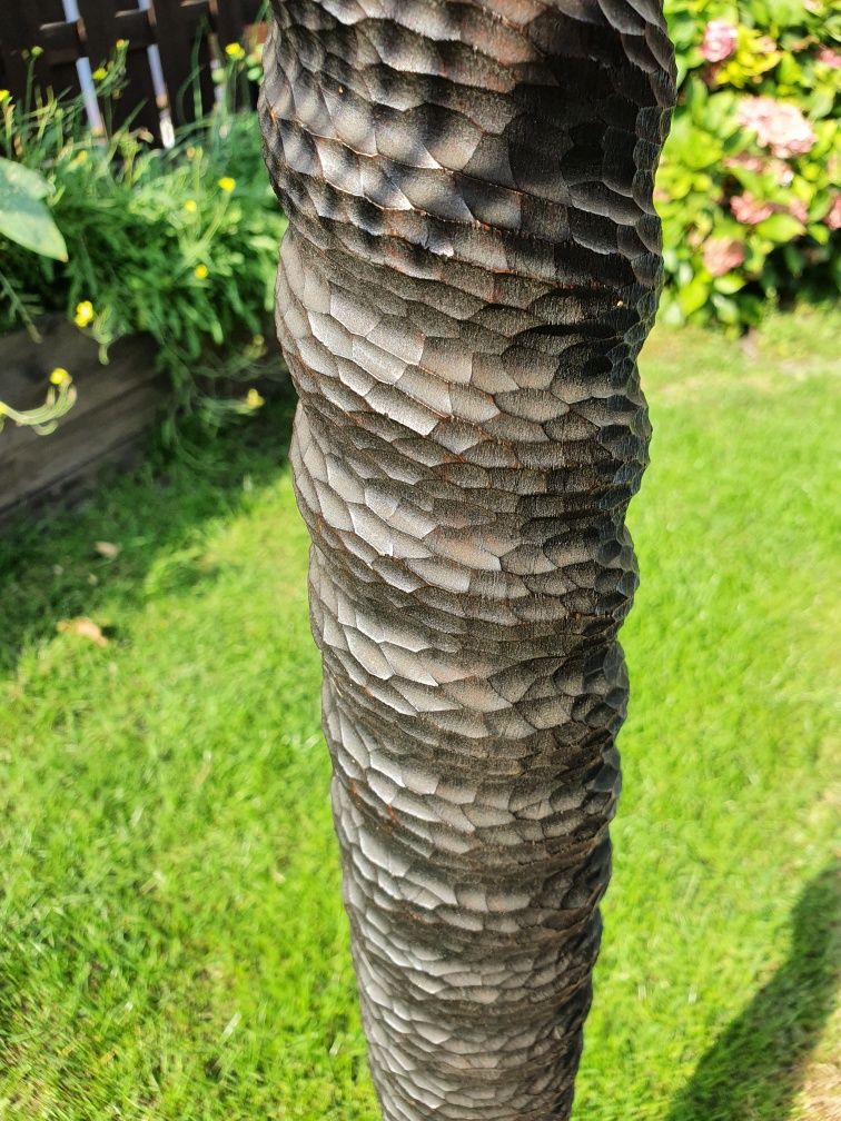 Lampa drewniana duża ANTYK !