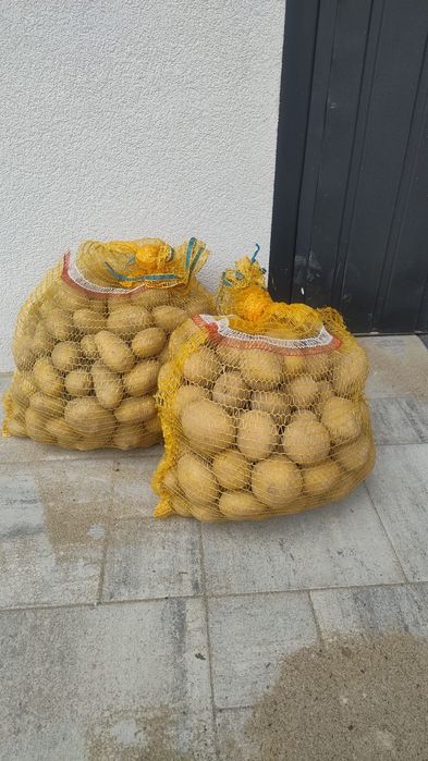Ziemniaki ekogiczne
