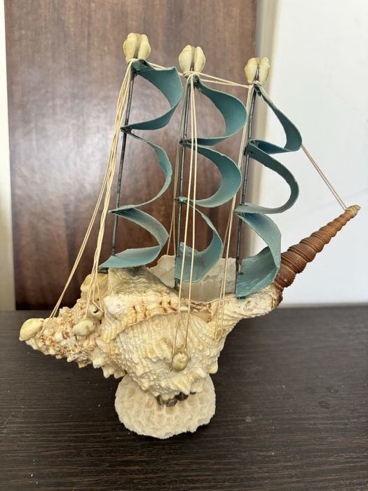 Barco num buzio artigo artesanal