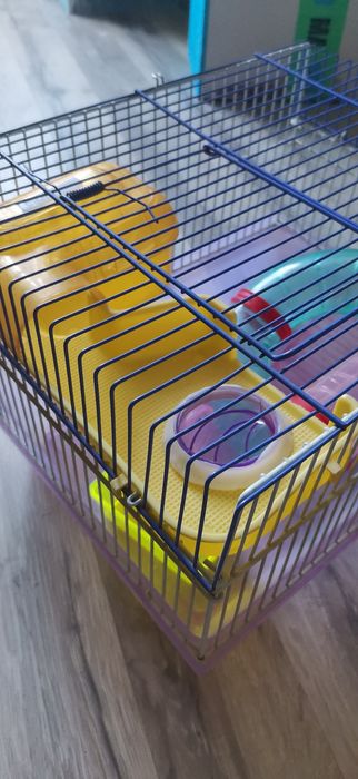 "хомячья мрія 2025" клетка аттракцион для грызунов