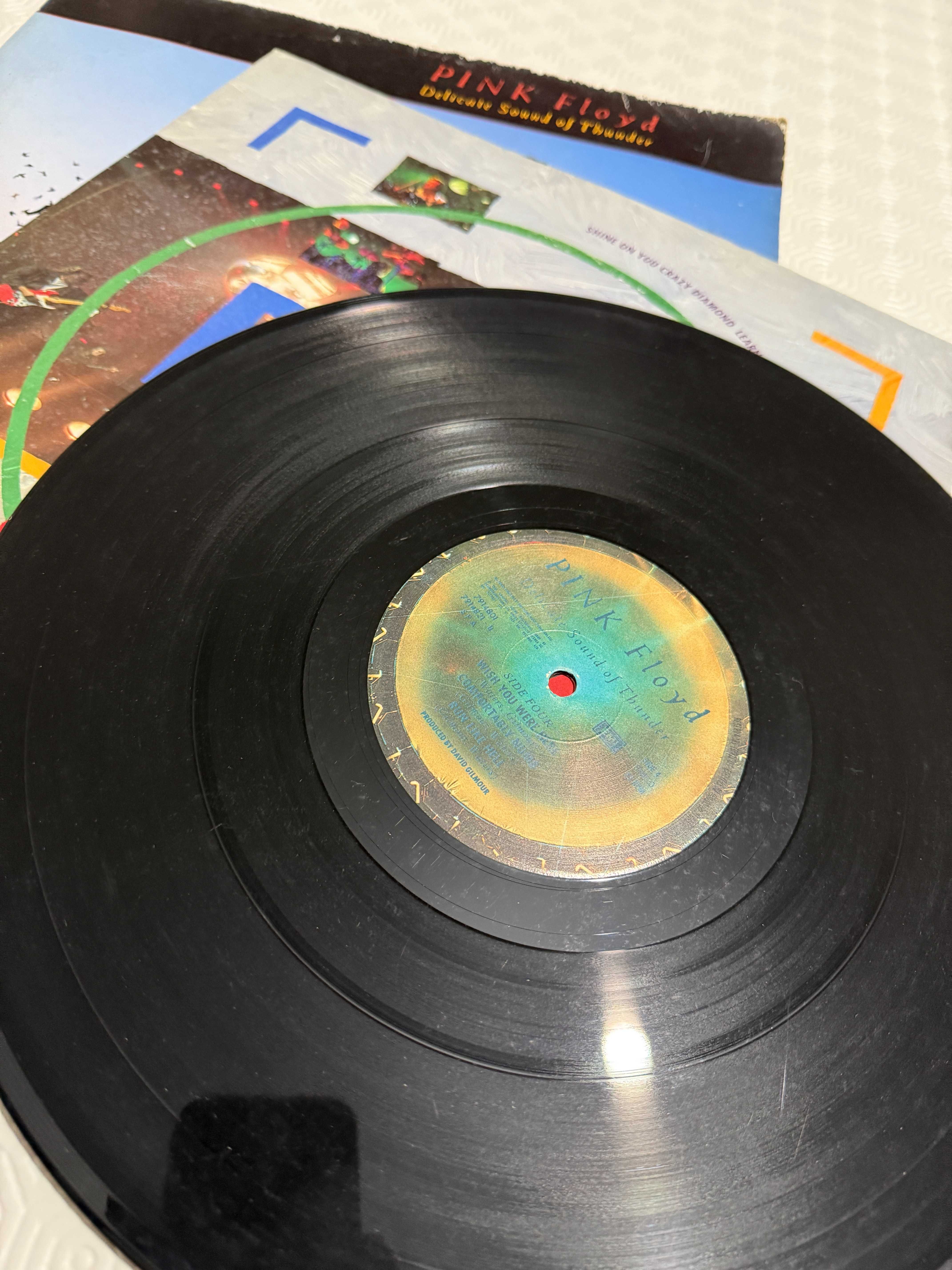 Vendo Pink Floyd Delicate Sound of Thunder + Live