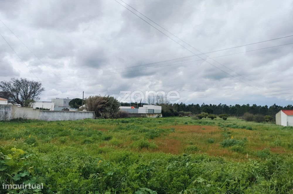 Terreno Premium para Investimento — Grândola