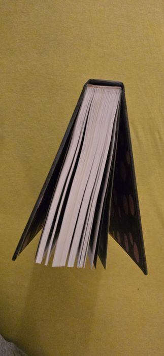 Czary Zjary - komiks - Simon Hanselmann - Timof