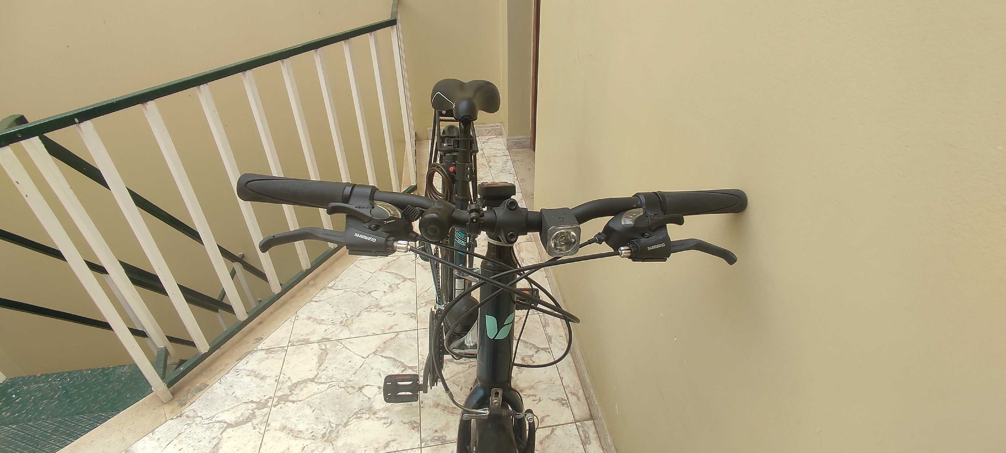 Bicicleta vintage