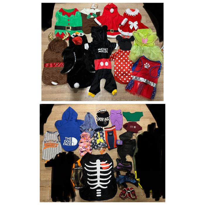 Карнавальный костюм для собаки или кошки лотом