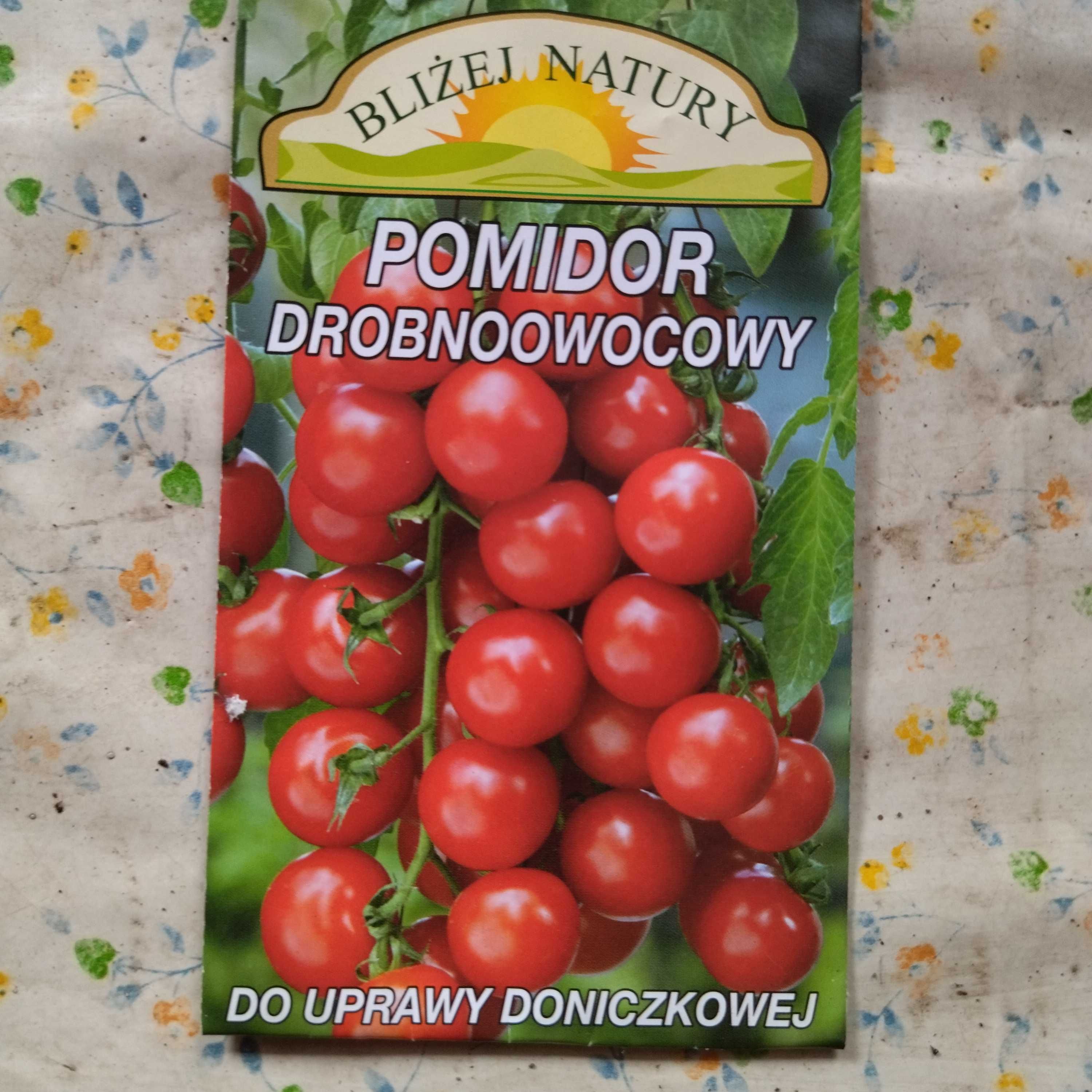 Pomidory sadzonki flance