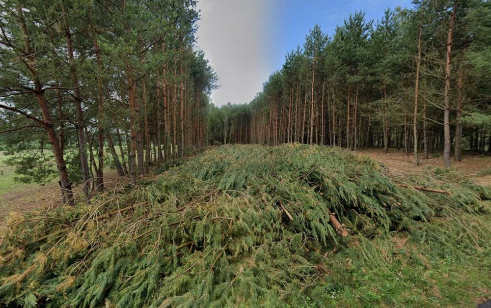 Działka budowlana – w otoczeniu lasów i jezior.