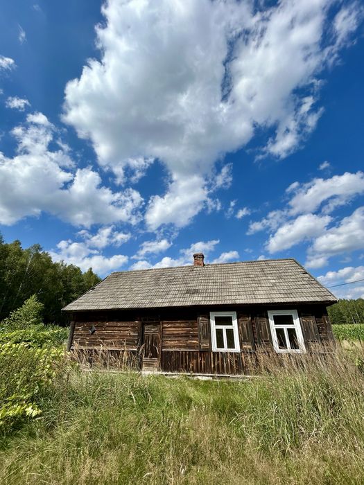 Spokój, las i własne siedlisko na wsi – lubelskie
