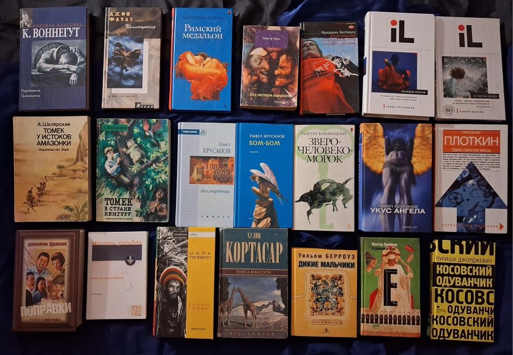 Берроуз Уэльбек Грасс Фаулз