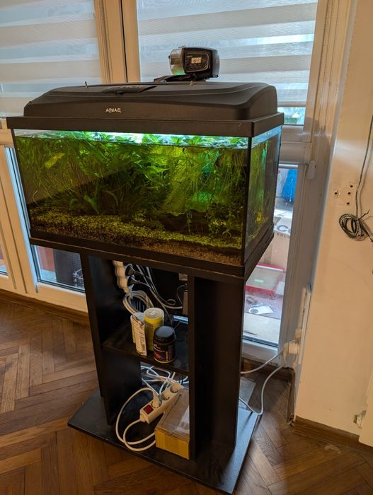 Kompletne akwarium 54l - pełen zestaw