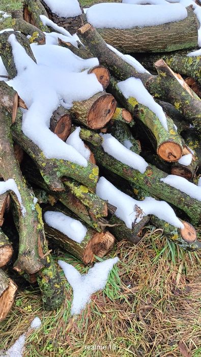 Drewno kominkowe i opałowe