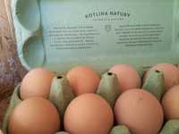 Smaczne wiejskie jajka, swojskie jajka od kur karmionych naturalnie