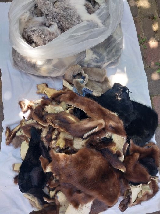 Продам  обрізки  хутра з кролика та норки.