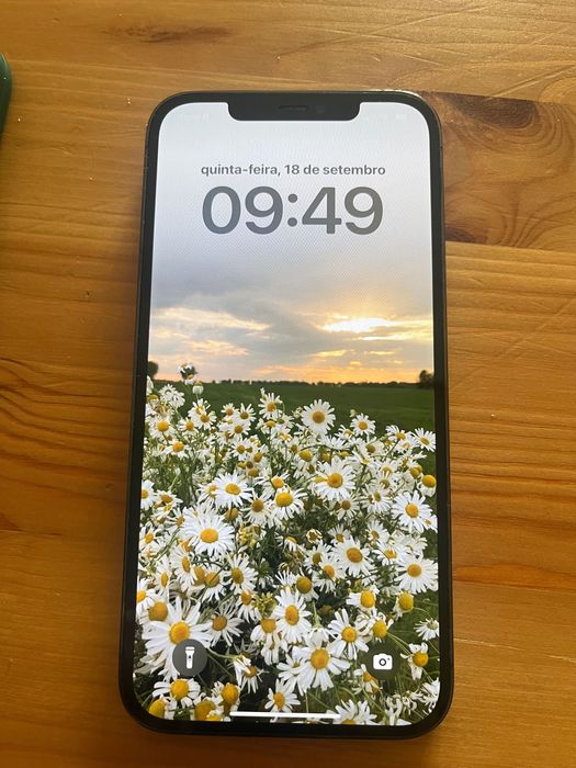 iPhone 12 Pro Max 128g