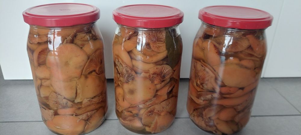 Rydze marynowane 815ml 3słoiki