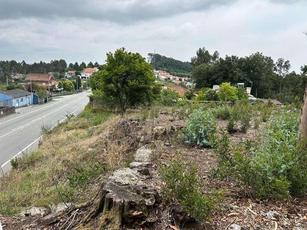 Terreno para construção Cruz