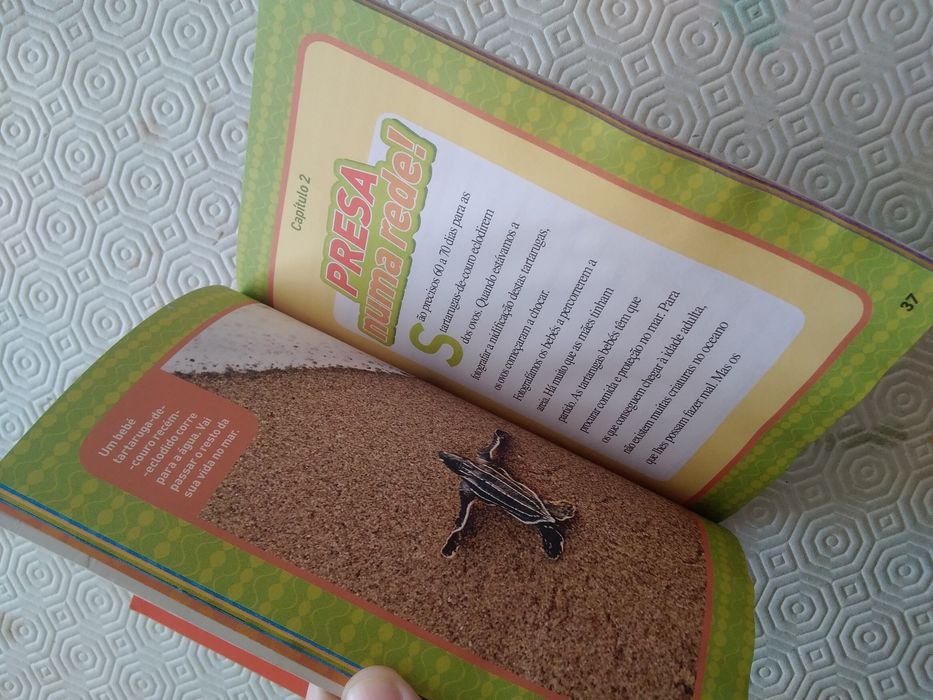 Lote 2 livros Sarilhos com Cobras + O Recife dos Tubarões