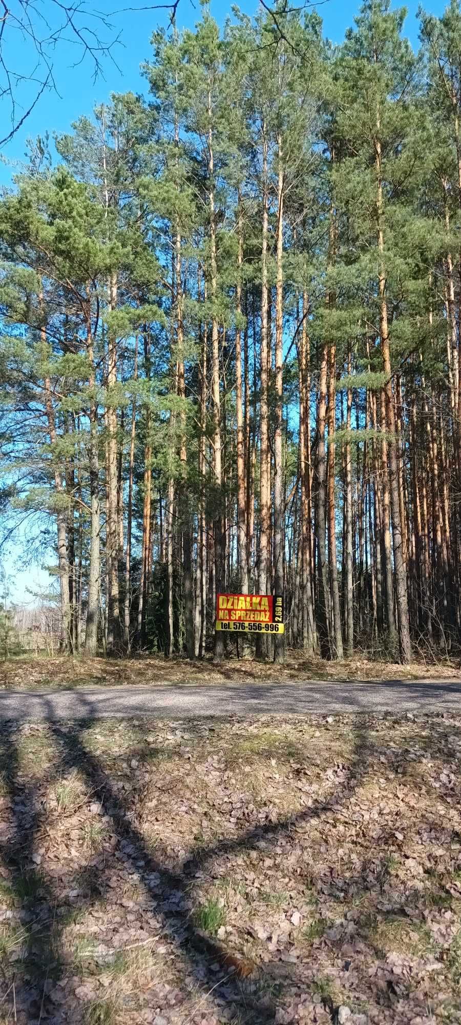 Działka Rolno-Leśna - Orzeszkowo, gm. Hajnówka [2,6888ha]