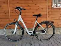 Rower multicycle damka premium