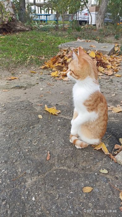 Срочно! Маленкое солнышко ищет любящую семью