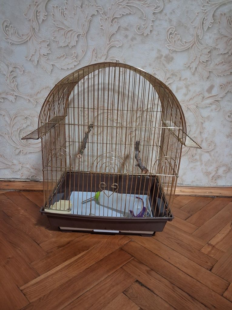 Клітка для птиці